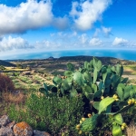 🌋 Pantelleria a piedi Pantelleria a piedi a Pantelleria (TP) il 12 settembre 2026
