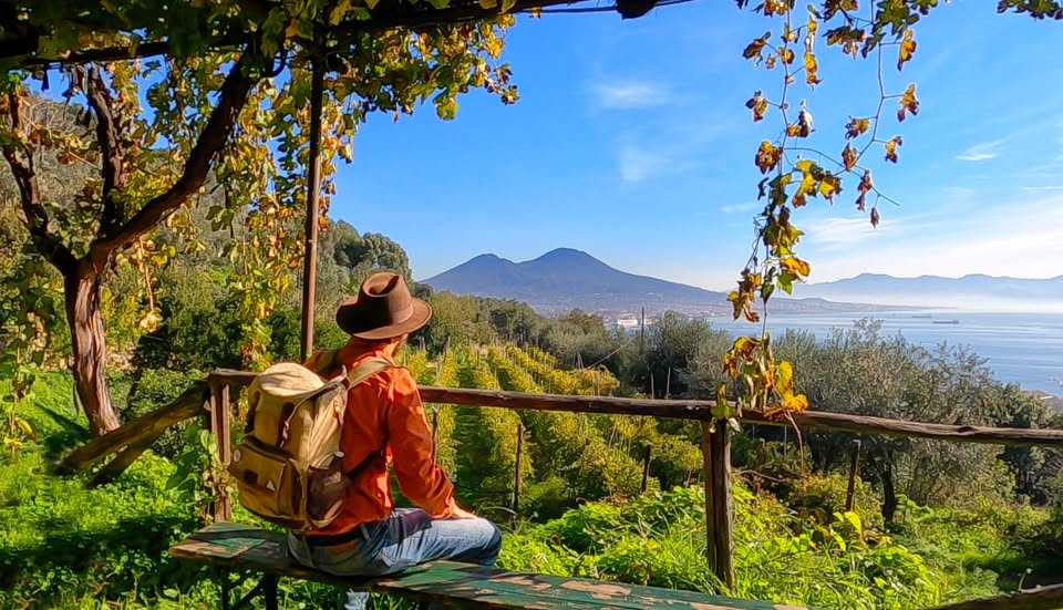 Evento Passeggiata al tramonto nella Vigna San Martino Locandina Passeggiata al tramonto nella Vigna San Martino - sabato 26 settembre ore 17:30 - 19:30