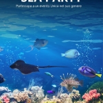 Pranzo Spettacolo SEA PARTY Pranzo Spettacolo SEA PARTY a Montefalcione (AV) il 23 agosto 2026