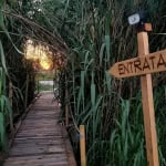 🌿 Radici & Ingegno all’Oasi Oltre i Confini Potrebbe essere un'immagine raffigurante erba e testo