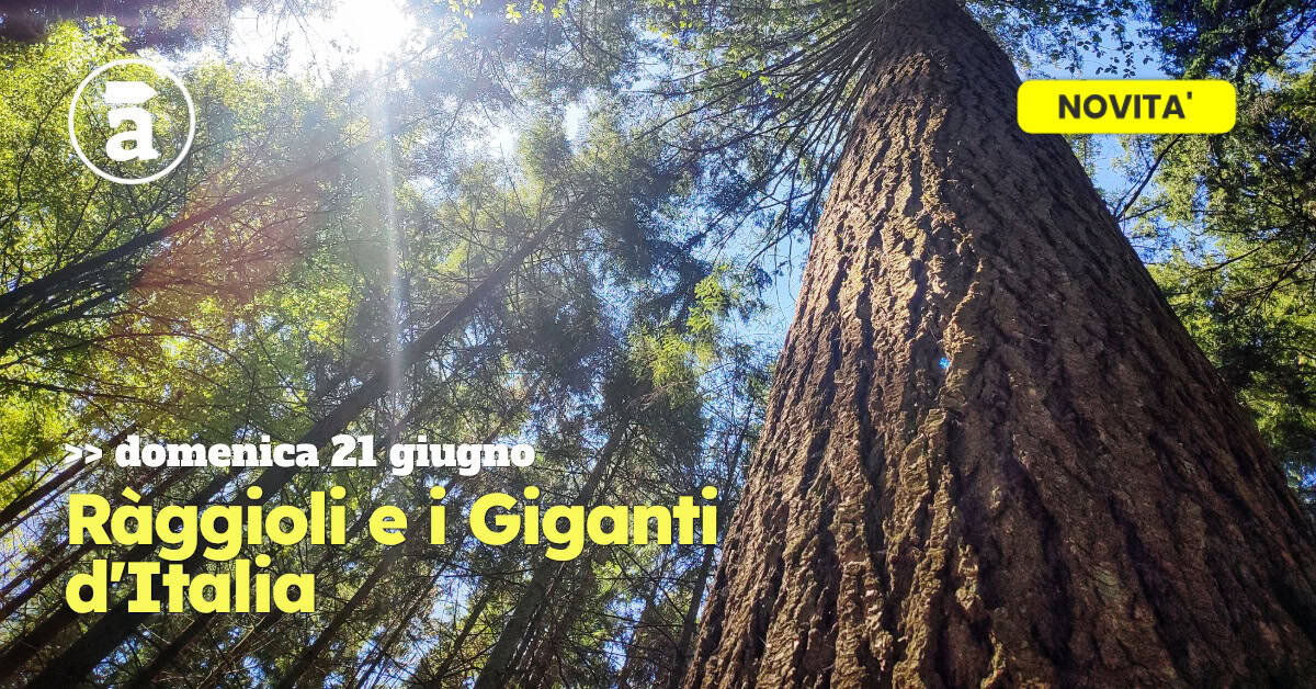 Evento Ràggioli e i Giganti d’Italia Locandina Ràggioli e i Giganti d’Italia - domenica 21 giugno ore 09:30 - 11:30