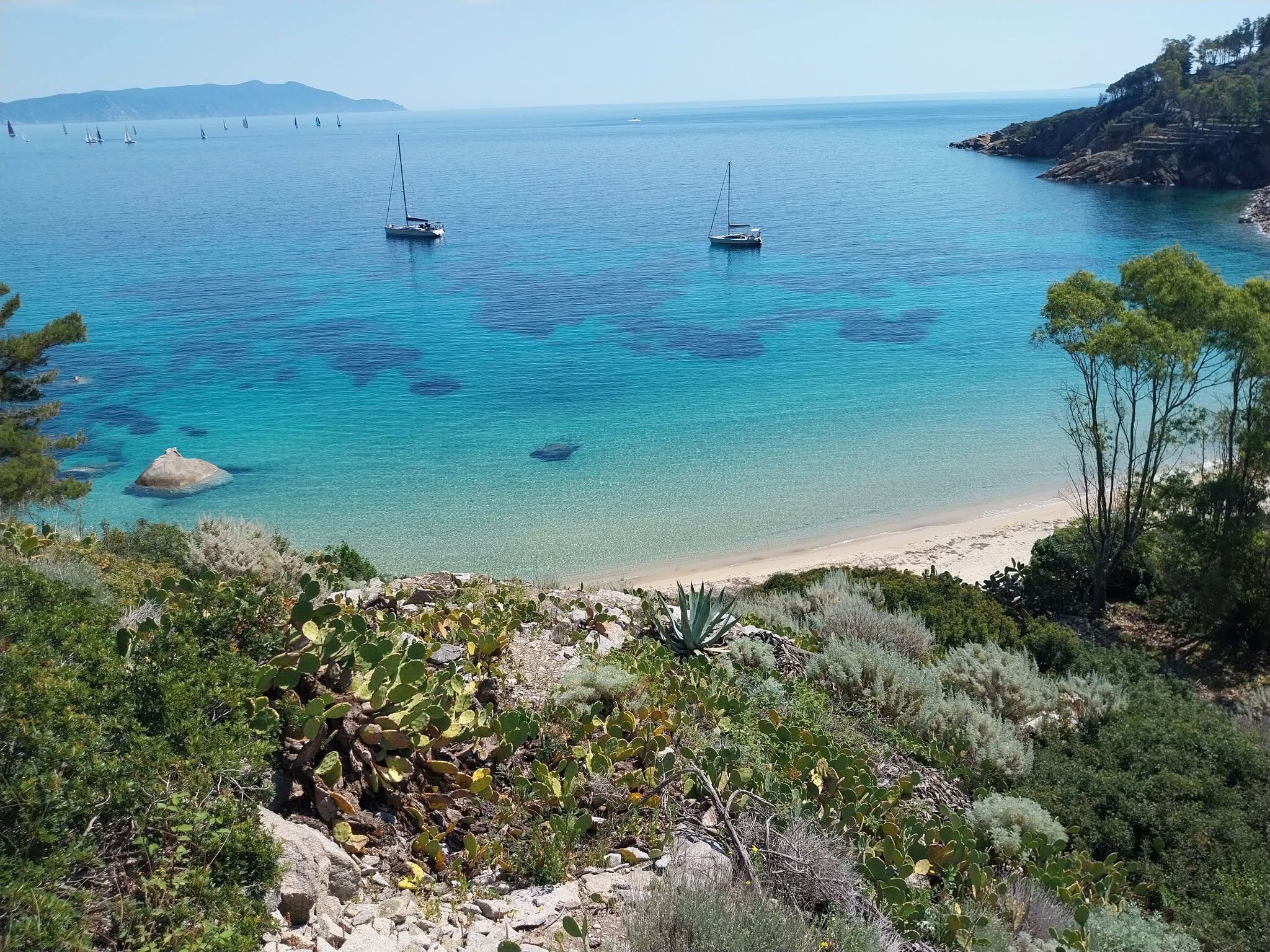 Evento Rocce e mare sul Giglio d’autunno Locandina Rocce e mare sul Giglio d’autunno - da venerdì 23 ottobre - domenica 25 ottobre 2026 ore 10:00 ore 16:00