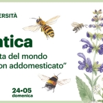 Selvatica: alla scoperta del mondo animale “non addomesticato” Potrebbe essere un'immagine raffigurante il seguente testo "CAMMINATE NELLA BIODIVERSITÀ FAI FAI Selvatica alla scoperta del mondo animale "non addomesticato" VILLA DEI VESCOVI SC 24.05 domenica"