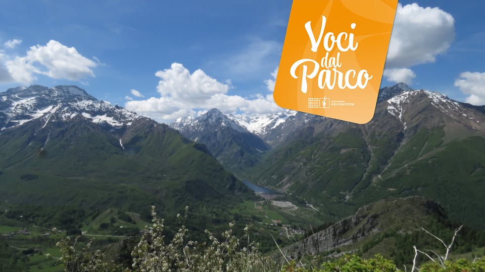 Evento Sotto i nostri piedi i segreti dei terremoti Locandina Sotto i nostri piedi i segreti dei terremoti - giovedì 20 agosto ore 20:30 - 22:30