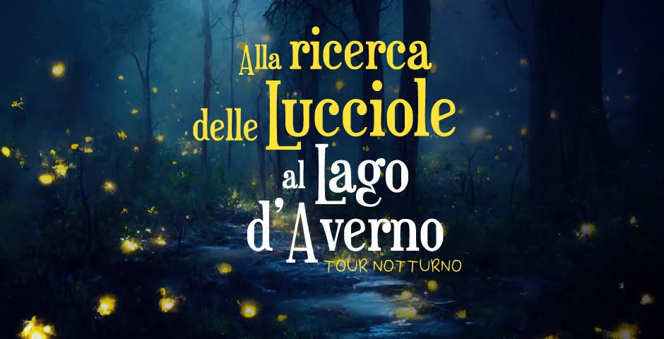 Evento Tour notturno alla ricerca delle Lucciole al Lago d’Averno Locandina Tour notturno alla ricerca delle Lucciole al Lago d’Averno - da sabato 9 maggio - domenica 14 giugno 2026 ore 19:30 ore 21:30