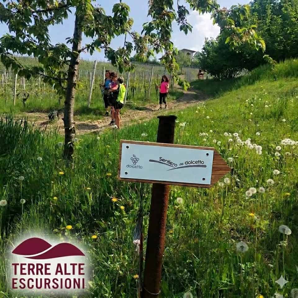 Evento Tra i Filari del Tempo Incanto e Biodiversità sul Nuovo Sentiero del Dolcetto Locandina Tra i Filari del Tempo Incanto e Biodiversità sul Nuovo Sentiero del Dolcetto - sabato 9 maggio ore 10:00 - 16:30