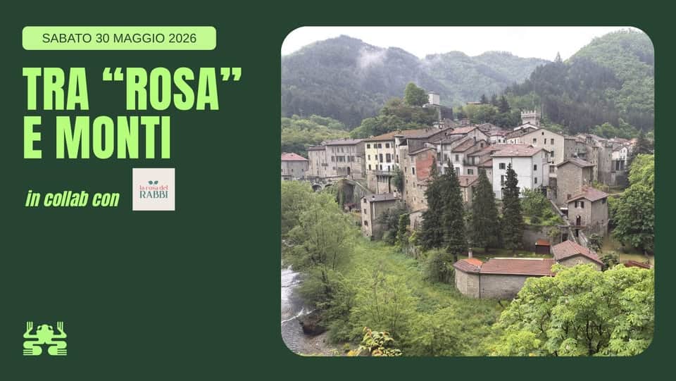 Tra “Rosa”e monti🌹 Potrebbe essere un'immagine raffigurante Stari Most e il seguente testo "SABATO 30 MAGGIO 2026 TRA "ROSA" E MONTI in collab con RABBI ወቢ. 111- "철갈"