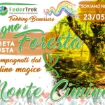 🥾Trek Emozionale le Corde del Cuore💚Bagno di Foresta con Violino Magico🎻nella Faggeta Incantata🌳 Potrebbe essere un'immagine raffigurante arpa, violino, clarinetto e il seguente testo "Trekcon con Trek Domory DEDAE Associozione a SORIANO NEL CIMINO (VT) 23/05/2026 FederTrek Escursionismoe Escursionismo@Ambiente Ambiente Trekking trekkingBenessere Benessere Bagno di FAGGETA toresta VETUSTA Accompagnati dal Violino magico Monte Cimino Ps"