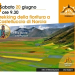 Trekking della fioritura a Castelluccio di Norcia Potrebbe essere un'immagine raffigurante il seguente testo "Sabato 20 20 giugno ore 9.30 Trekking della fioritura a Castelluccio di Norcia אע TREKKING360° TERMINILLO La tua guida: Irina Poznyak AL Difficoltà FACILE INFO E PRENOTAZIONI 392 9638077"