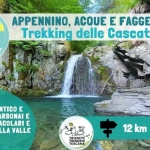 🌊🌳 Trekking delle Cascate: Appennino e acque nelle faggete del Frignano 💧💚 Trekking delle Cascate Appennino e acque nelle faggete del Frignano a Sant'Annapelago (MO) il 5 luglio 2026