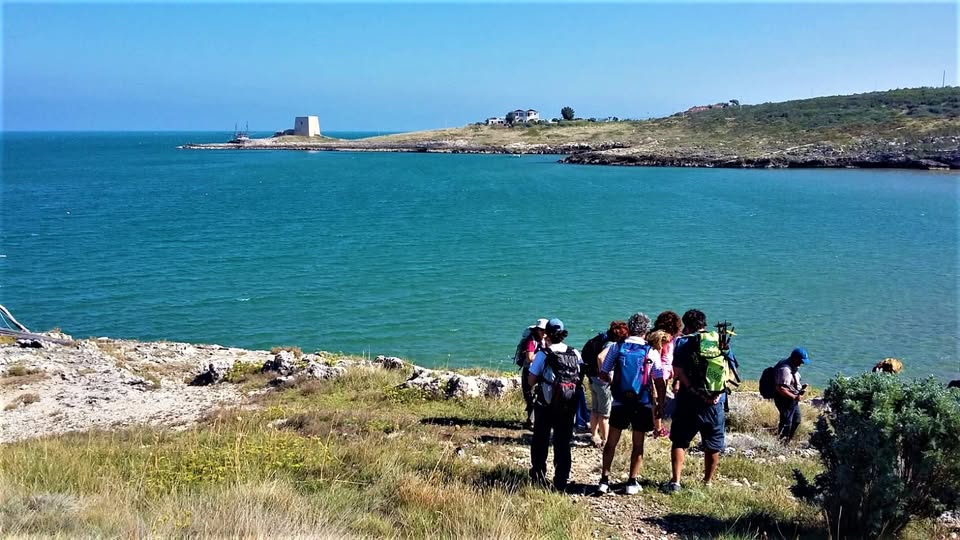 Evento Trekking sul Gargano – Mare e foresta – (2 giorni) Locandina Trekking sul Gargano – Mare e foresta – (2 giorni) - da sabato 3 ottobre - domenica 4 ottobre 2026 ore 07:00 ore 22:00