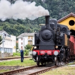 Treno della vendemmia Treno della vendemmia a Sizzano (NO) il 20 settembre 2026