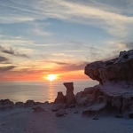 Vacanza Yoga e Mare in Sardegna sull’Isola di San Pietro Vacanza Yoga e Mare in Sardegna sull’Isola di San Pietro a Carloforte il 22 agosto - 29 agosto 2026