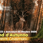 Weekend d’Autunno nelle Foreste Casentinesi Weekend d’Autunno nelle Foreste Casentinesi a Santa Sofia (FC) il 23 ottobre - 25 ottobre 2026