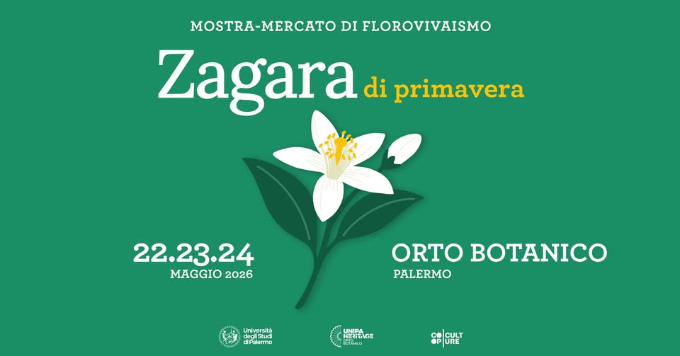 Zagara di primavera 2026 Potrebbe essere un'immagine raffigurante Lewisia, giglio bianco e il seguente testo "MOSTRA-MERCATO DI FLOROVIVAISMO Zagara di primavera 22.23.24 MAGGIO 2026 ORTO BOTANICO PALERMO dadistud degiStudi iStud Università diPalermo 5mo UNIPA HERTNG RMca おール co CULT PURE ORE"