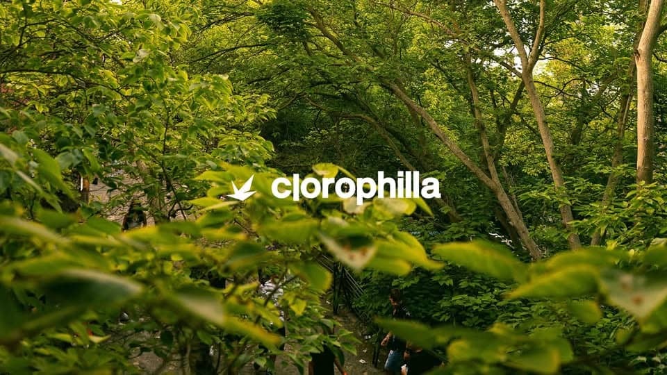 Evento 15.08.2026 Clorophilla Locandina 15.08.2026 Clorophilla - sabato 15 agosto ore 22:00 - 00:00