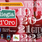 65° Mostra Provinciale “La Ciliegia d’Oro” 65° Mostra Provinciale “La Ciliegia d’Oro” a Tregnago (VR) il 19 giugno - 22 giugno 2026