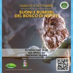 Suoni E Rumori Del Bosco Di Notte (20Giu26) Suoni E Rumori Del Bosco Di Notte (20Giu26)