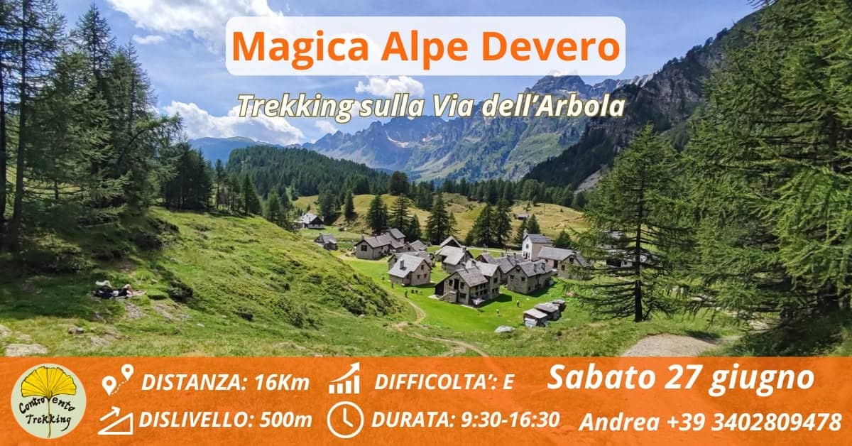Evento Magica Alpe Devero – Trekking sulla Via dell’Arbola Locandina Magica Alpe Devero – Trekking sulla Via dell’Arbola - sabato 27 giugno ore 09:00 - 11:00