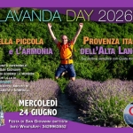 LAVANDA DAY! Nella piccola Provenza italiana e l’armonia dell’Alta Langa. LAVANDA DAY! Nella piccola Provenza italiana e l'armonia dell'Alta Langa.