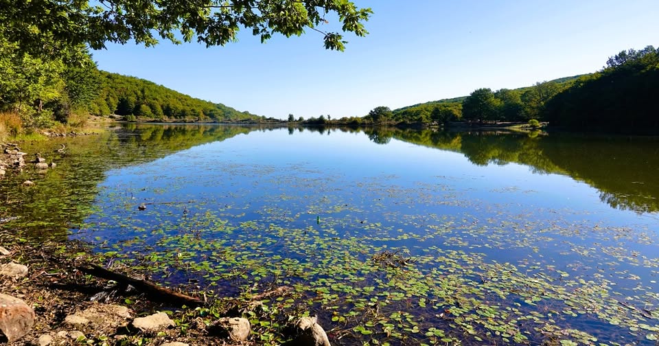 Evento In Tenda Sui Nebrodi Tra I Laghi Locandina In Tenda Sui Nebrodi Tra I Laghi - sabato 1 agosto ore 16:00 - 18:00