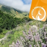 I sabati a passo lento – Escursione al Bosco Bandito I sabati a passo lento - Escursione al Bosco Bandito