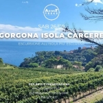Gorgona escursione e bagno Gorgona escursione e bagno