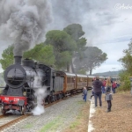 Treno Del Sale Da Pisa – Livorno – Cecina A Saline Di Volterra E Ritorno Treno Del Sale Da Pisa - Livorno - Cecina A Saline Di Volterra E Ritorno