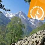 I sabati a passo lento – Lo Viòl di Tàit I sabati a passo lento - Lo Viòl di Tàit