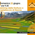 Trekking della fioritura a Castelluccio di Norcia Trekking della fioritura a Castelluccio di Norcia