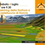 Trekking della fioritura a Castelluccio di Norcia Trekking della fioritura a Castelluccio di Norcia