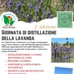 Giornata di distillazione della Lavanda Giornata di distillazione della Lavanda