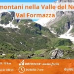 Fiori e paesaggi montani nella Valle del Nefelgiu in Val Formazza Fiori e paesaggi montani nella Valle del Nefelgiu in Val Formazza