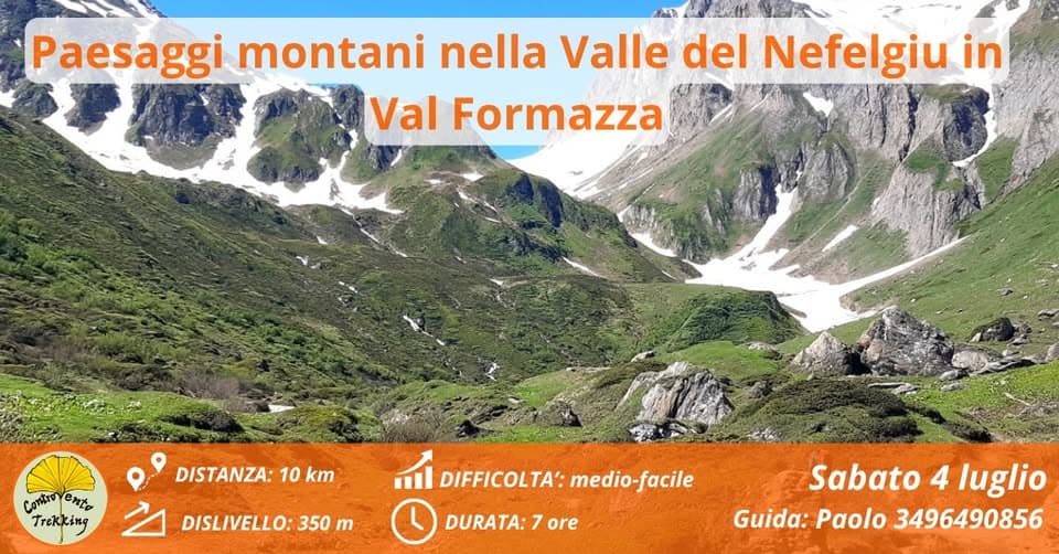 Evento Fiori e paesaggi montani nella Valle del Nefelgiu in Val Formazza Locandina Fiori e paesaggi montani nella Valle del Nefelgiu in Val Formazza - sabato 4 luglio ore 09:00 - 11:00