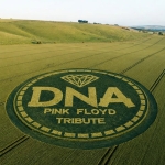 ECHOES OF PINK FLOYD Tributo alla Farfisa e alla Scandalli – Una leggenda Marchigiana del ‘900 ECHOES OF PINK FLOYD Tributo alla Farfisa e alla Scandalli - Una leggenda Marchigiana del '900