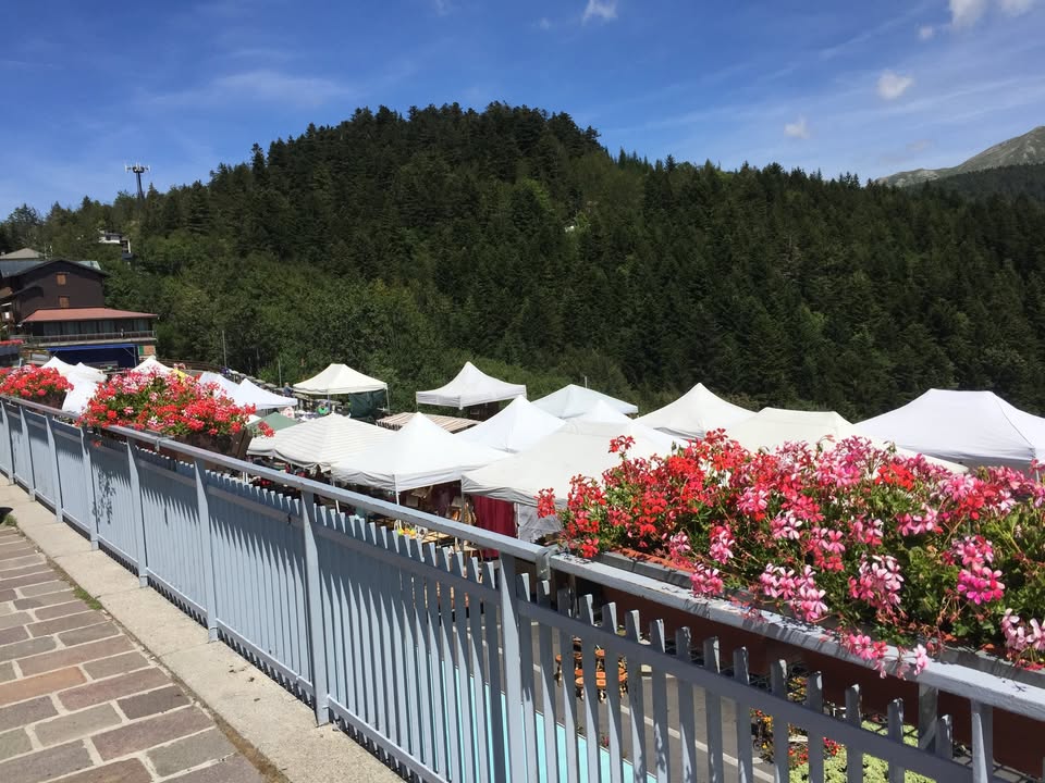 Evento Abetone (PT) – Mercatino dell’Antiquariato Locandina Abetone (PT) – Mercatino dell’Antiquariato - domenica 5 luglio ore 08:00 - 19:00