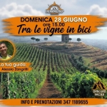Nelle vigne in bici, tour enogastronomico Nelle vigne in bici, tour enogastronomico