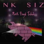 Pink Size Live – San Piero Sotto le Stelle – Castello Roganzuolo, TV Pink Size Live - San Piero Sotto le Stelle - Castello Roganzuolo, TV