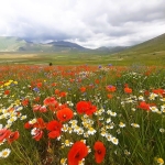 Fioritura di Castelluccio in bike – e – bike Fioritura di Castelluccio in bike - e - bike