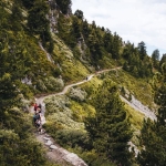 Trekking – Il Bosco Delle Meraviglie Trekking - Il Bosco Delle Meraviglie