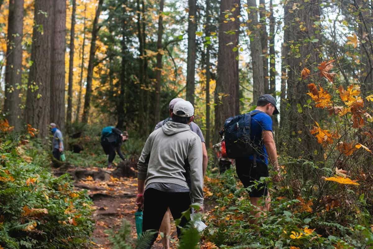 Evento Passeggiata Ai Piedi Del Monte Tomenone Un Anello Di Racconti E Biodiversità Locandina Passeggiata Ai Piedi Del Monte Tomenone Un Anello Di Racconti E Biodiversità - sabato 13 giugno ore 15:30 - 17:30