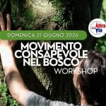 Movimento consapevole nel bosco Workshop gratuito Movimento consapevole nel bosco Workshop gratuito