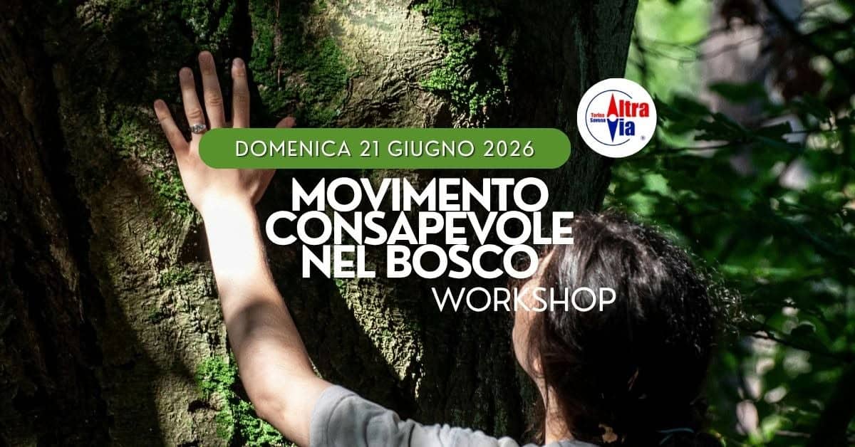 Evento Movimento consapevole nel bosco Workshop gratuito Locandina Movimento consapevole nel bosco Workshop gratuito - domenica 21 giugno ore 09:30 - 12:30