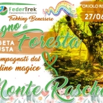 Trek Emozionale le Corde del Cuore Bagno di Foresta con Violino Magico nella Faggeta Incantata Trek Emozionale le Corde del Cuore Bagno di Foresta con Violino Magico nella Faggeta Incantata