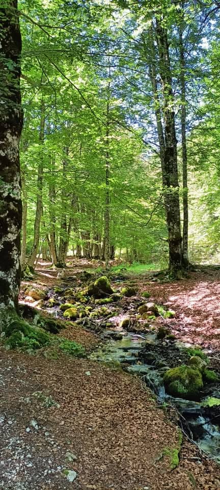 Evento Solstizio d’estate in Val Fondillo la valle incantata del Parco Nazionale d’Abruzzo Locandina Solstizio d’estate in Val Fondillo la valle incantata del Parco Nazionale d’Abruzzo - domenica 21 giugno ore 09:30 - 15:30