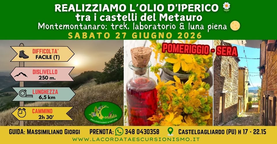 Evento REALIZZIAMO L’OLIO D’IPERICO tra i castelli del Metauro Montemontanaro trek, lab & luna piena Locandina REALIZZIAMO L’OLIO D’IPERICO tra i castelli del Metauro Montemontanaro trek, lab & luna piena - sabato 27 giugno ore 17:00 - 22:15
