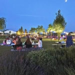 Picnic sul prato al Lavandeto con truck food o menù su prenotazione Picnic sul prato al Lavandeto con truck food o menù su prenotazione