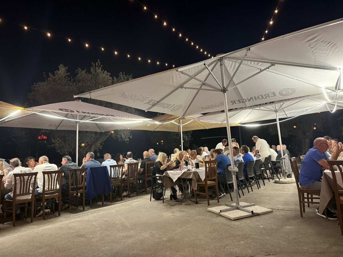 Evento Serata dei Single in zona lago di Garda a Sommacampagna di Verona by Celestino Locandina Serata dei Single in zona lago di Garda a Sommacampagna di Verona by Celestino - mercoledì 24 giugno ore 20:15 - 23:59