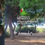 Camminata Metabolica al Parco di Molentargius di Cagliari con Michela Ogni sabato mattina Camminata Metabolica al Parco di Molentargius di Cagliari con Michela Ogni sabato mattina