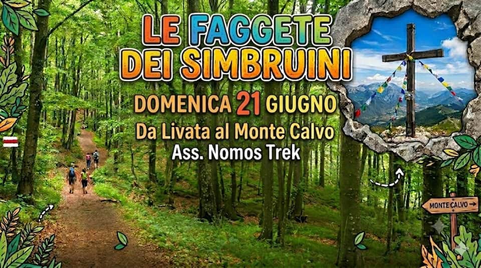 Evento Le faggete dei Simbruini con Nomos Trek Locandina Le faggete dei Simbruini con Nomos Trek - domenica 21 giugno ore 09:45 - 16:00
